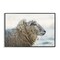 Stupell Industries Deep Thoughts Sheep Portrait Framed Giclee, design by Martin Podt